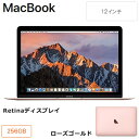 【返品OK!条件付】Apple 12イン...