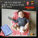 ガーゼケット ワンピース® 6重織 ミニミニサイズ 約45×65cm ONE PIECE ルフィ チョッパー パンソンワークス ベビーケット ベビーカー おむつ替えマット 子ども 出産祝い 赤ちゃん ひざ掛け 国産 日本製 【ラッピング対応】 エムール