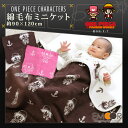 綿毛布 ワンピース® ミニサイズ 約90×120cm ONE PIECE ルフィ チョッパー パンソンワークス ベビーケット コットンブランケット 綿100% ジュニア 子ども 出産祝い 赤ちゃん ひざ掛け 日本製 コットン 【ラッピング対応】 エムール
