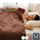 エクセルゴールドラベル ダウンケット 羽毛肌掛けふとん フランス産ホワイトダックダウン90% キングサイズ 羽毛 春 夏 秋 エムール エムール