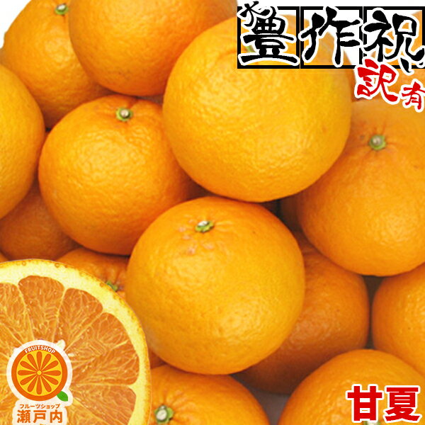 愛媛産 甘夏(あまなつ) 10kg 訳あり・不揃い【送料無料(一部地域除く)】愛媛県産 家庭用 フルーツ 旬の果物 くだもの 果実 青果 食品 産地直送 みかん 蜜柑 柑橘類 かんきつ コロナ ステイホーム 在宅応援 おやつ デザート 春の味覚