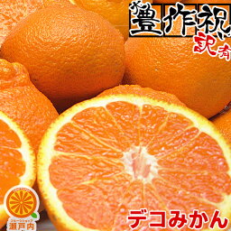 【買い回りに♪】愛媛産 デコみかん 2kg <strong>訳あり</strong>【2品で+2kg(6kgセット) 3品で+4kg(10kgセット)】【送料無料(一部地域除く)】不揃い 不知火・<strong>デコポン</strong>の規格外品 愛媛県産 家庭用 フルーツ 果物 くだもの お試し 食品 みかん 蜜柑 柑橘類 かんきつ 産地直送