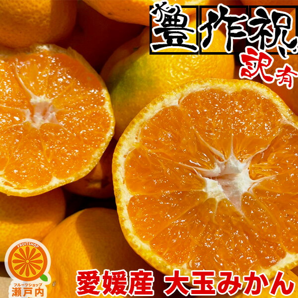 【規格外】愛媛産 訳あり大玉みかん2L・3Lサイズ 10kg【送料無料(一部地域除く)】愛媛県産 フルーツ ご家庭用 果物 くだもの 果実 青果 食品 コロナ おうち時間応援 みかん 蜜柑 柑橘類 かんきつ おやつ デザート 冬の味覚 産地直送