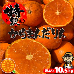 愛媛産 特に<strong>訳ありみかん</strong>【送料無料(一部地域除く)】10kg(+約0.5kg多め)不揃い 傷 汚れ有 なつみ カラマンダリン フルーツ 美味しいみかん 果物 くだもの 温州みかん 柑橘類 かんきつ 食品ロス コロナ おうち時間応援 産地直送