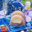 【栗きんとん水まんじゅう 10個入】「岐阜 良平堂