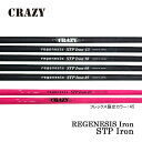 ☆送料無料☆【お取寄せ】 CRAZY クレイジー regenesis STP Iron