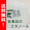 【第3類医薬品】【送料無料!】【小堺製薬】消毒用エ