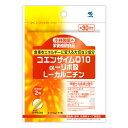 小林製薬の栄養補助食品　コエンザイムQ10　α-リポ酸　L-カルニチン　60粒（約30日分）アルファリポ酸