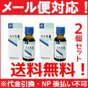 【メール便対応! 送料無料!!】【健栄製薬】 【ケンエー】ハッカ油 P 20ml2個セット【P25Apr15】