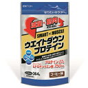 全品2%OFFクーポン! 11/25 23:59まで【井藤漢方製薬】SMART×MUSCLEウエイトダウンプロテイン 364g(約14日分)スマートマッスル