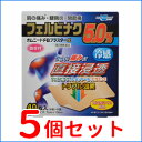【第2類医薬品】【まとめ買い!5個セット】【テイコ