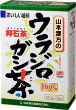 山本漢方　ウラジロガシ茶　100%　5g×20包【Be_3/4_1】