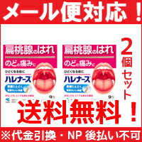 【第3類医薬品】【送料無料！メール便対応！】 ハレナース　9包×2個セット　【小林製薬】【P25Apr15】