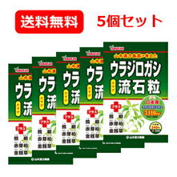 メール便 送料無料 5個セット【山本漢方】<strong>ウラジロガシ流石粒</strong>（さすが粒）240粒×5個うらじろがし 5個セット