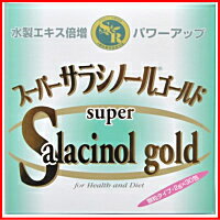 【ジャパンヘルス】 スーパーサラシノールゴールド 顆粒　＜2g×90包＞【P25Jan15】