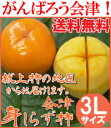 【送料無料】【予約受付中!11月上旬発送予定!】会津御山産 会津みしらず柿 【 3Lサイズ 5kg 】 約17玉 約5キロ