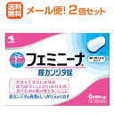 【第1類医薬品】【メール便対応・送料無料・2セット】 フェミニーナ 腟カンジダ錠 6錠×2個セット!! 小林製薬 膣カンジダ再発治療薬■ 要メール確認 ■薬剤師の確認後の発送となります。※セルフメディケーション税制対象商品