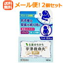 【第2類医薬品】【メール便対応!送料無料!2個セッ