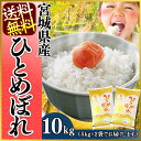宮城県産 ひとめぼれ10kg(5kg×2)【送料無料 28年産 白米 お米 ご飯】【TD】【米TRS】【メーカー直送品】【あす楽】 父の日