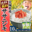 ササニシキ 5kg×2送料無料 あす楽対応 宮城県産 白米 お米 ご飯 ささにしき 宮城のお米 登米【28年度産】【TD】【TRS】【メーカー直送品】【RCP】【HLS_DU】