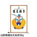 はえぬき 5kg送料無料 山形県産 はえぬき ハエヌキ5キロ...