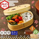 【あす楽】木製 一段 小判型 大 さくら バンド付き 曲げわ...