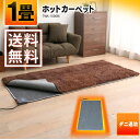 TEKNOS ホットカーペット 1畳 本体 TWA-1000...