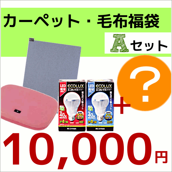 【福袋10,000円ポッキリ！2】広電[KODEN]　カーペット3畳本体ユニット+あんか+LED電球+？？【TC】【福】【10】【RCPmara1207】【マラソン201207_生活】