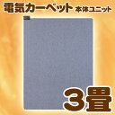 【送料無料】広電[KODEN]　カーペット3畳本体ユニット　CWC-310　【K】【D】【アウトレット】【3】【RCPmara1207】【マラソン201207_生活】