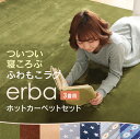 ★最安値挑戦★ラグ + ホットカーペット 2点セット 送料無...