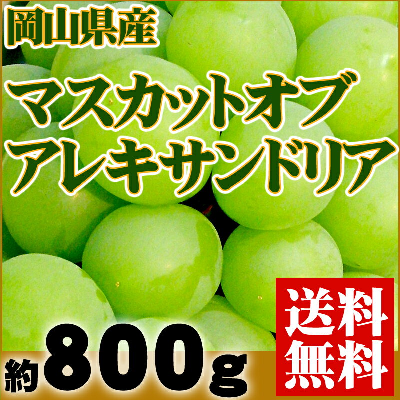 フルーツの目利きが厳選！『岡山県産 マスカットオブアレキサンドリア 約800g』【お中元】【ギフト】【送料無料】【内祝い】【お祝い】【お見舞い】【贈り物】【お取り寄せグルメ】【楽ギフ_のし宛書】【ぶどう】【送料無料】築地市場・フルーツの目利きが厳選！【父の日】【ギフト】【内祝い】【お祝い】【お見舞い】【贈り物】