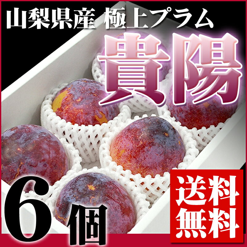 フルーツの目利きが厳選！『山梨県産 プラム 貴陽 6個入り』【お中元】【ギフト】【送料無料】【内祝い】【お祝い】【お見舞い】【贈り物】【お取り寄せグルメ】