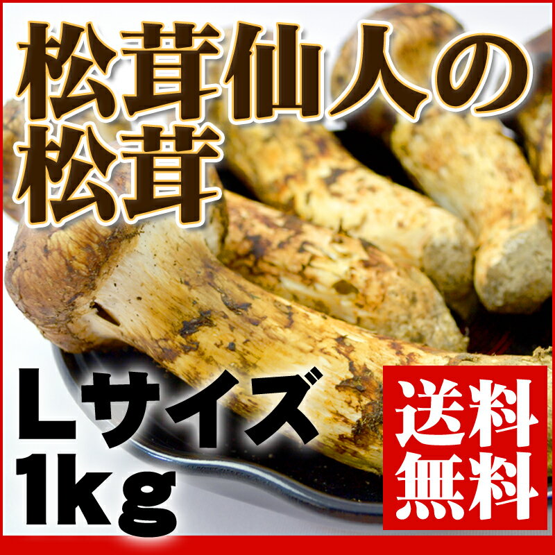 築地市場の松茸仙人が厳選する秋の味覚！『築地市場の松茸 Lサイズ 1kg』【まつたけ】【マツタケ】【ギフト】【送料無料】【内祝い】【お祝い】【お見舞い】【贈り物】【お取り寄せグルメ】