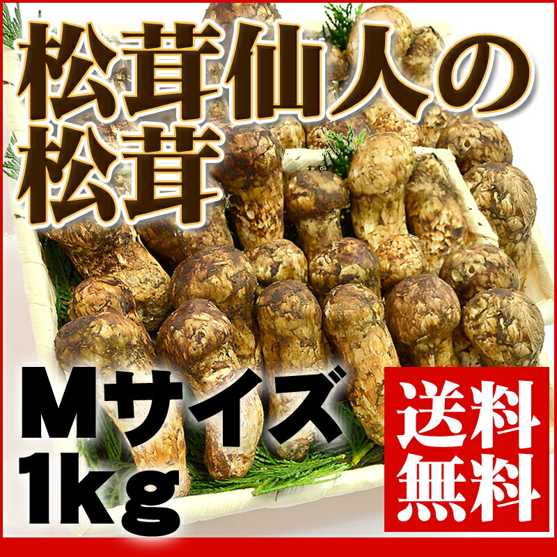 築地市場の松茸仙人が厳選する秋の味覚！『築地市場の松茸 Mサイズ 1kg』 【まつたけ】【マツタケ】【ギフト】【送料無料】【内祝い】【お祝い】【お見舞い】【贈り物】【お取り寄せグルメ】