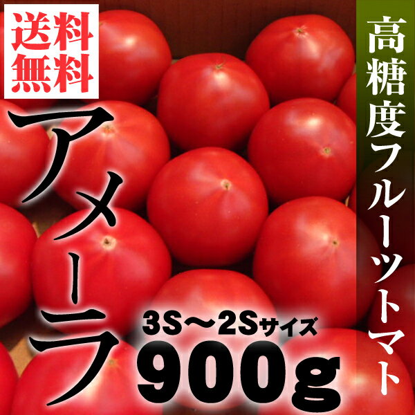 築地・野菜の目利きが厳選！『高糖度フルーツトマト アメーラ 900g 2S〜3Sサイズ』 …...:engage:10000546