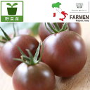 野菜の苗/生食用イタリアントマト無農薬シリーズ:イタリアングレープ3.5号ポット2株セット