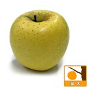 果樹の苗/リンゴ：シナノゴールド4号ポット