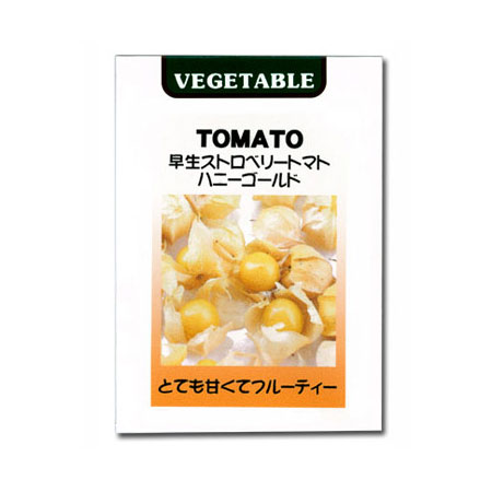 タネ・小袋 わい性草丈50cm位 3〜6月まき[野菜タネ]早生ストロベリートマト（食用ほおずき）ハニーゴールド*