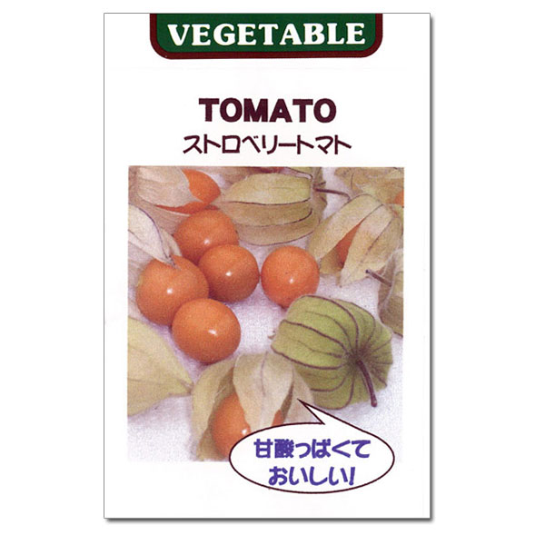 タネ・小袋 人気品種！3〜6月まき[野菜タネ]ストロベリートマト（食用ほおずき　草丈150cm位）*