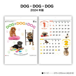 【ポイント30倍】<strong>カレンダー</strong> 2024年 <strong>壁掛け</strong>け DOG・DOG・DOG SG120 2024年版 <strong>カレンダー</strong> シンプル カラフル かわいい 犬 子犬 写真 2カ月表記 便利 237912