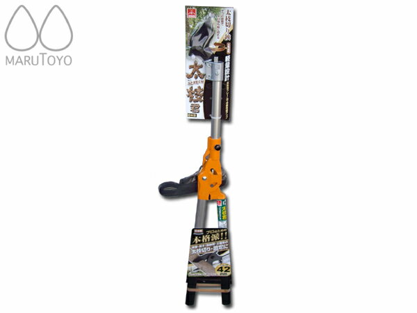 ޤϤޤƤ̵  ޷ smtb-s