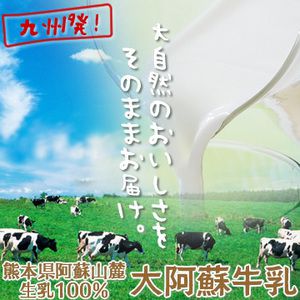 大阿蘇牛乳 1L×6本 熊本県阿蘇山麓生乳100％ [t][*] 常温保存可能 九州産の牛…...:enya1:10000572