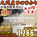 【クーポンで1,266円OFF！】福岡県産【一等米】ひのひかり10kg[5kg×2] 26年産 新米 九州 米 楽天ランキング1位！玄米から 分つき米 白米/九州産ヒノヒカリ[k][*]【RCP】【定期購入も可】【rice_RH_011