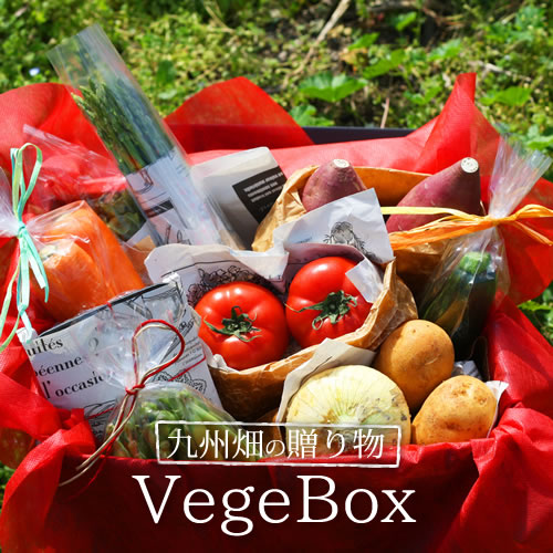 【送料無料】 野菜のギフト VegeBox[ベジボックス]九州畑の贈り物♪九州産 ギフト …...:enya1:10000299