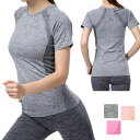 伸縮フィットネス ワークアウト Tシャツ 全3色 カラー クイックドライ スポーツ レディースウエアー 高弾力 ヨガ ランニング 速乾性 吸水速乾シャツ