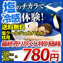 楽天最安挑戦★限定特価セール商品 【送料無料】 塩