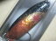 お一人様1点限り ◆◇◆ バックス15g デイトナ スプーン BUX DAYTONA SPOON 15g #TJ(G)<アングラーズシステム Anglerzsystem>【メール便OK】