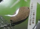 ☆<ゴッドハンズ GODHANDS> Jriya イーリヤ スプーン 2.2g #P01 【メール便OK】