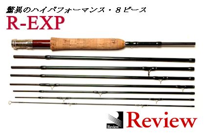 Review R-EXP 8304-8