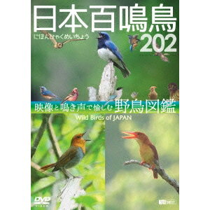 {S 202 HD^nCrWfƖŖޖ쒹} Wild Birds of Japan HD yDVDz